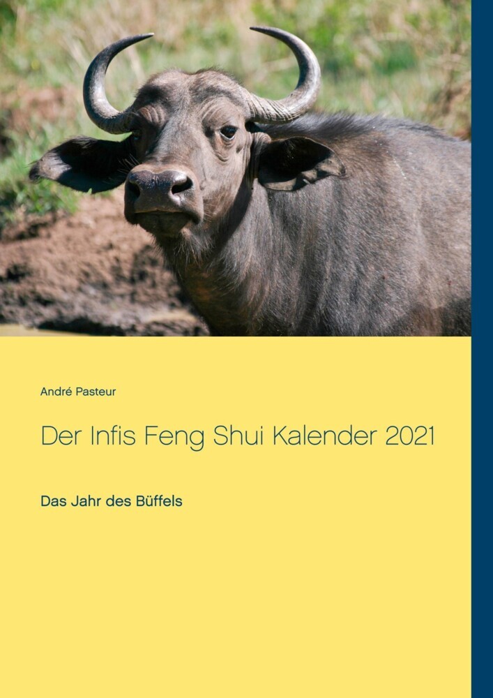 Der Infis Feng Shui Kalender 2021 main product photo