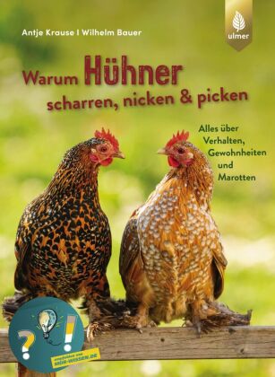 Warum Hühner scharren, nicken & picken