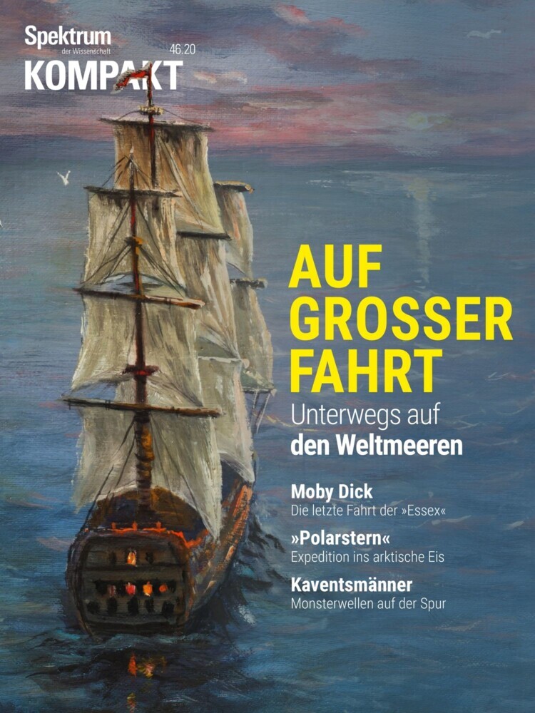 Spektrum Geschichte - Auf großer Fahrt main product photo