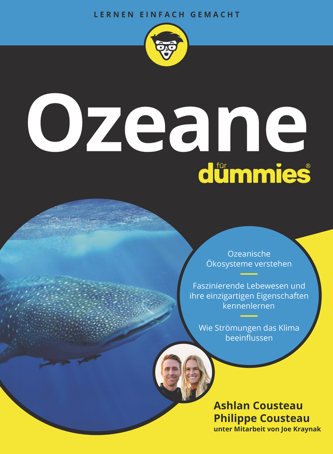Ozeane für Dummies main product photo