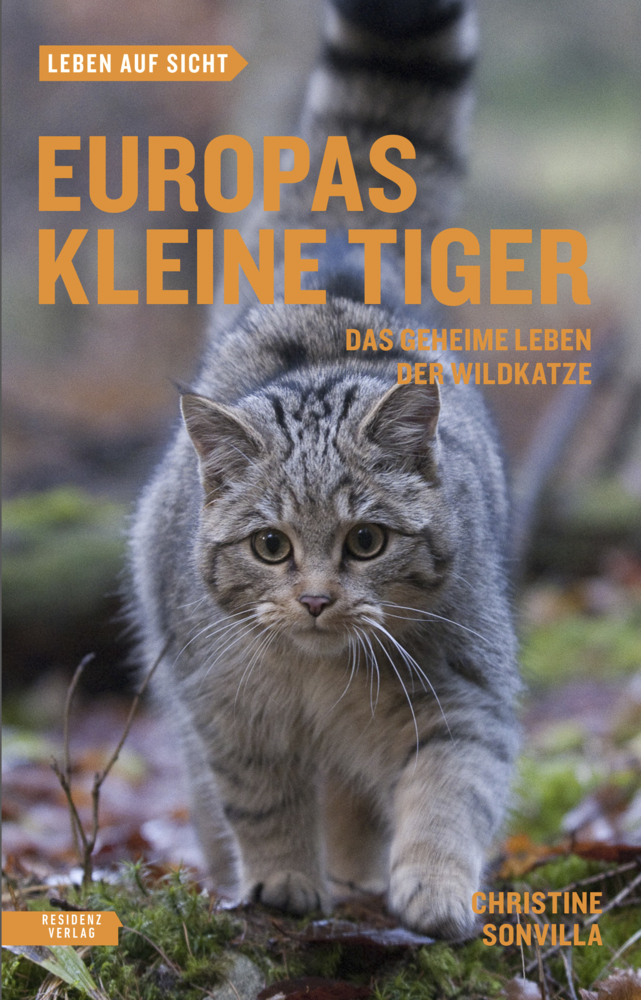 Europas kleine Tiger main product photo