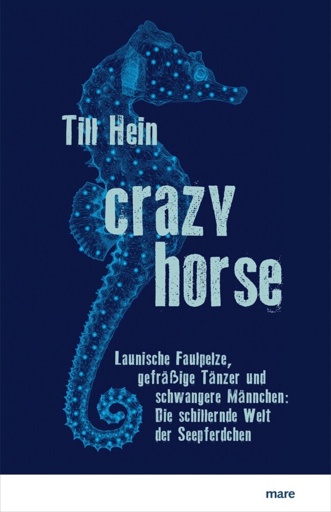 Crazy Horse main product photo