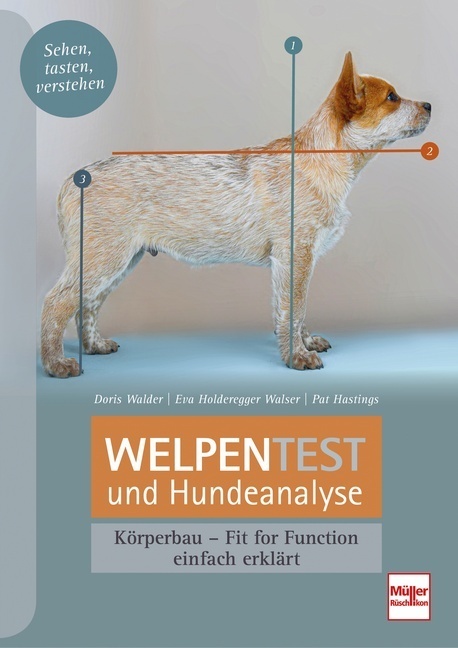 Welpentest und Hundeanalyse main product photo
