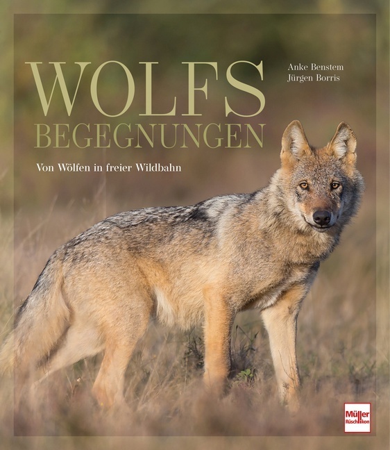 Wolfsbegegnungen main product photo