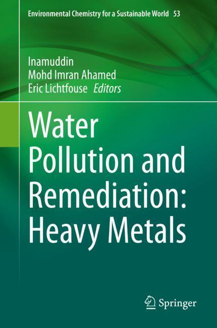 Water Pollution and Remediation: Heavy Metals main product photo