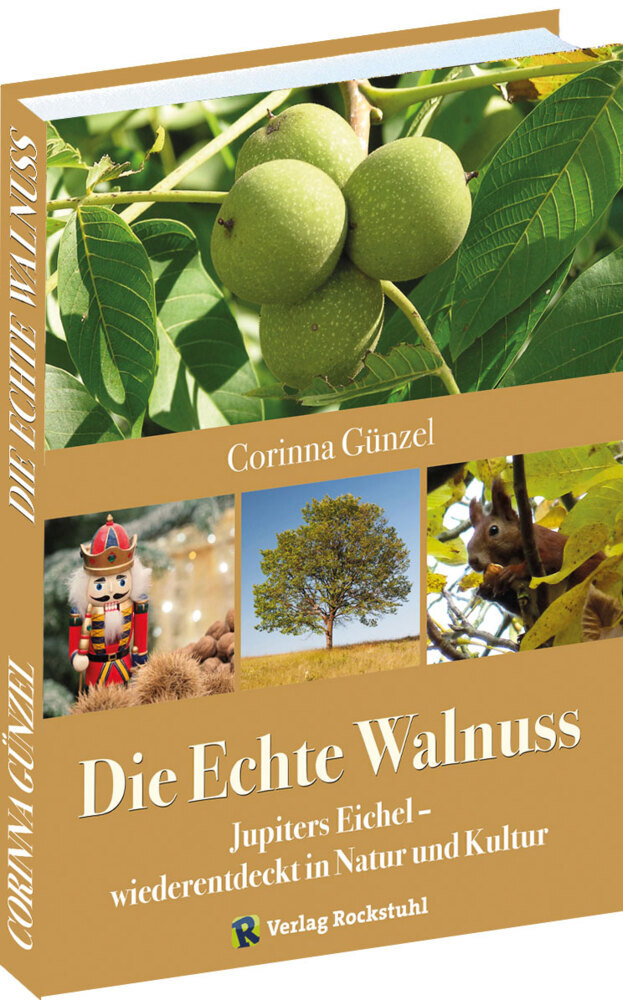 Die Echte Walnuss main product photo