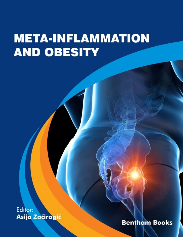 Meta-Inflammation and Obesity main product photo