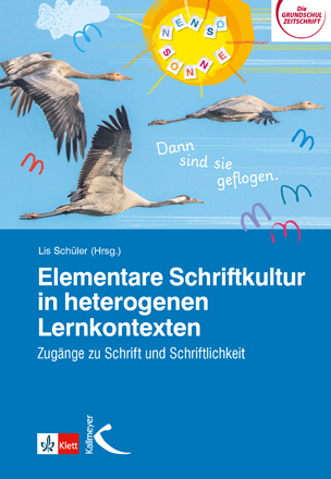 Elementare Schriftkultur in heterogenen Lernkontexten main product photo