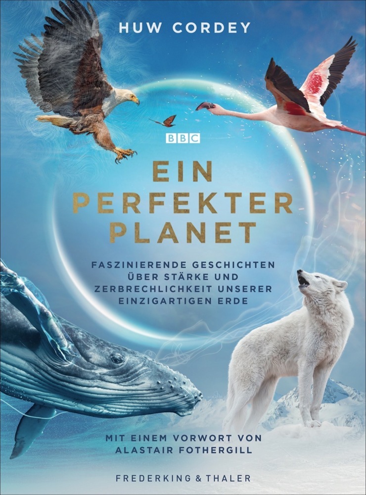 Ein perfekter Planet main product photo