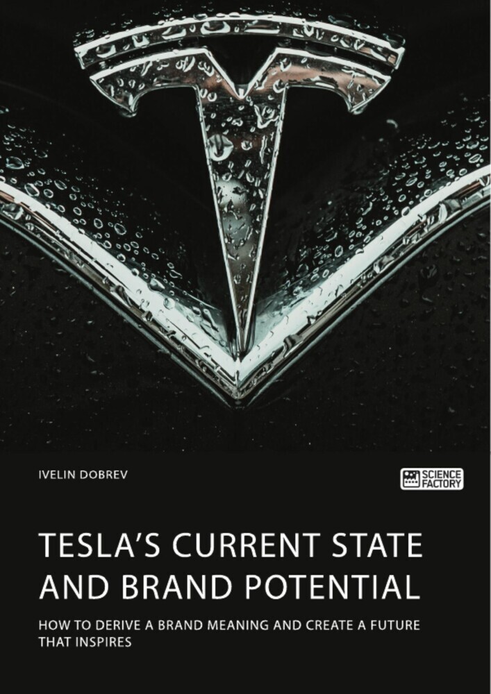 Tesla's current state and brand potential. How to derive a brand meaning and create a future that inspires main product photo