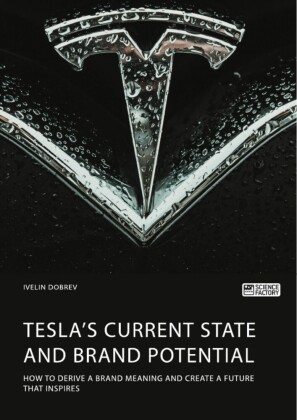 Tesla's current state and brand potential. How to derive a brand meaning and create a future that inspires