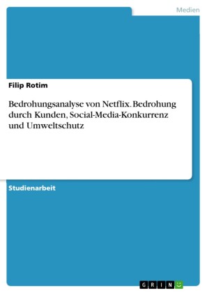 Bedrohungsanalyse von Netflix. Bedrohung durch Kunden, Social-Media-Konkurrenz und Umweltschutz