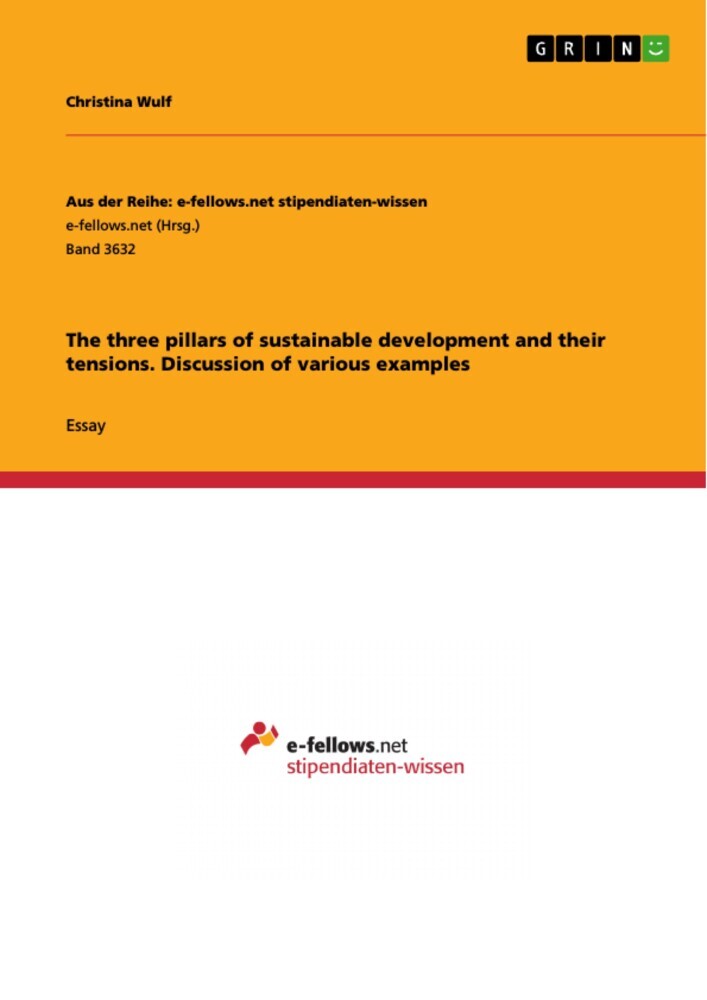 The three pillars of sustainable development and their tensions. Discussion of various examples main product photo