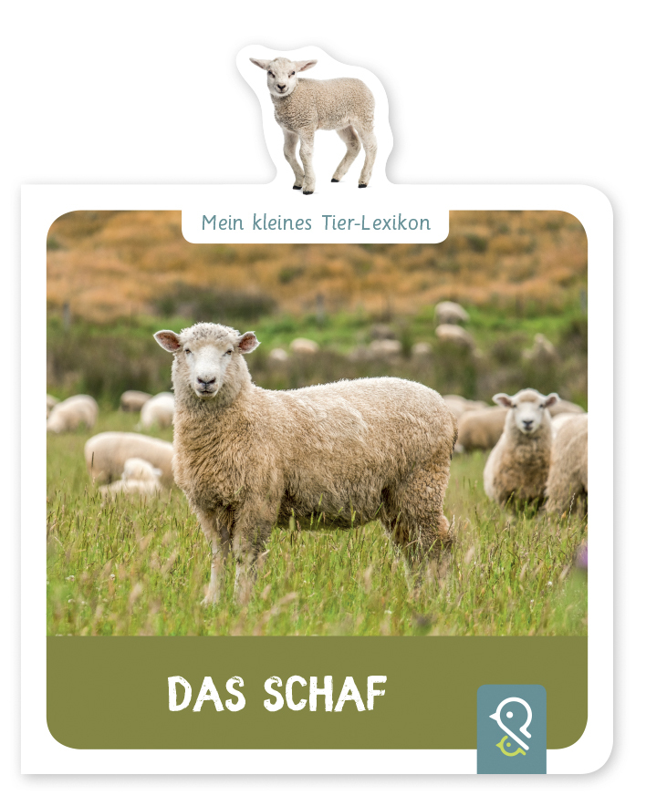 Das Schaf main product photo
