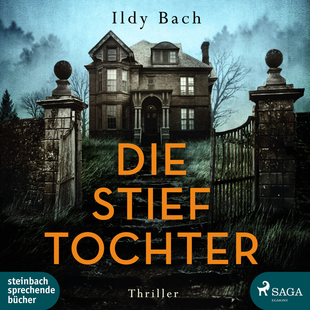 Die Stieftochter, 2 Audio-CD, MP3 main product photo