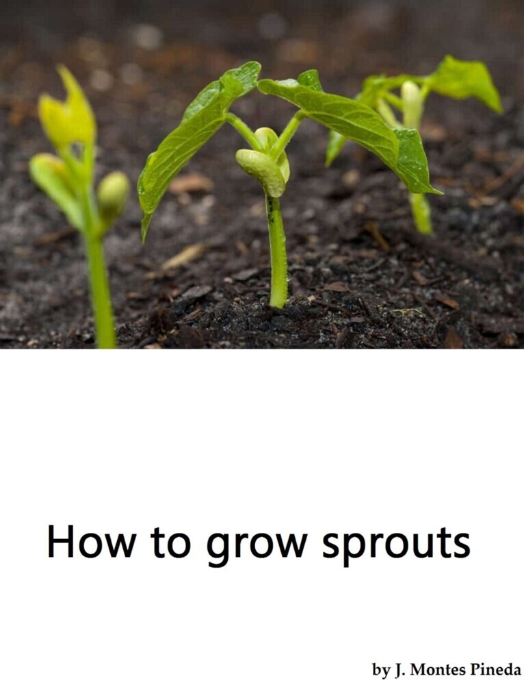 How to grow sprouts main product photo