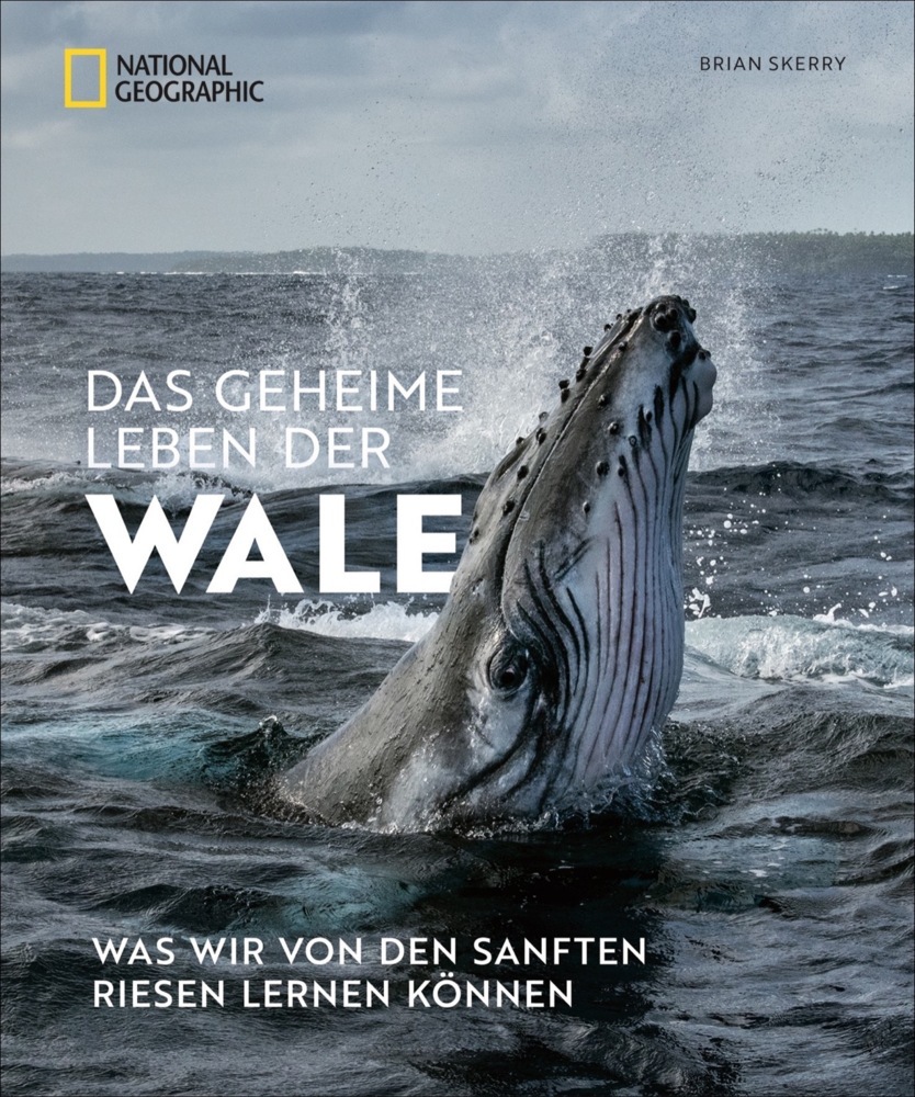 Das geheime Leben der Wale main product photo