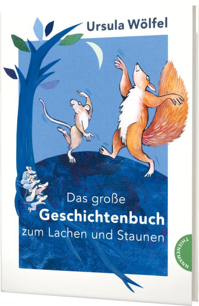 Das große Geschichtenbuch zum Lachen und Staunen main product photo