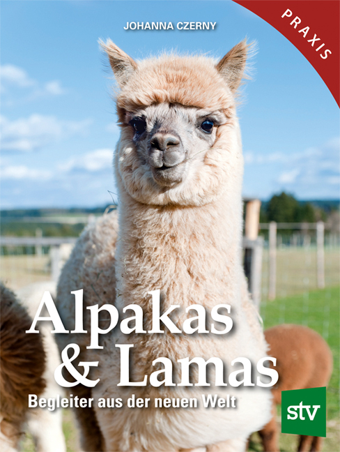 Alpakas & Lamas main product photo