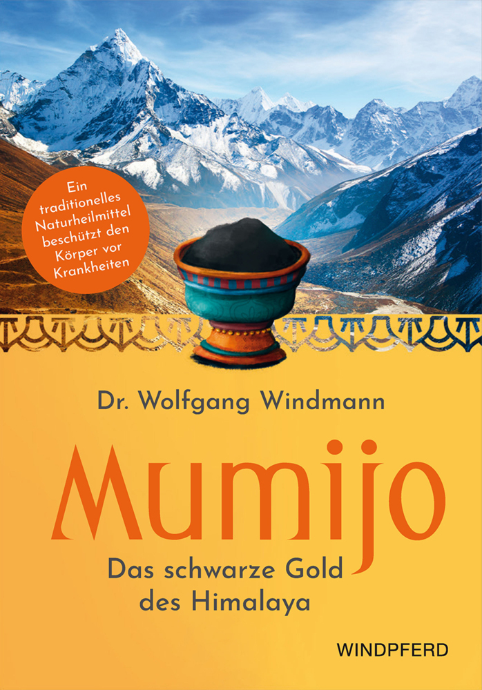Mumijo - Shilajit main product photo