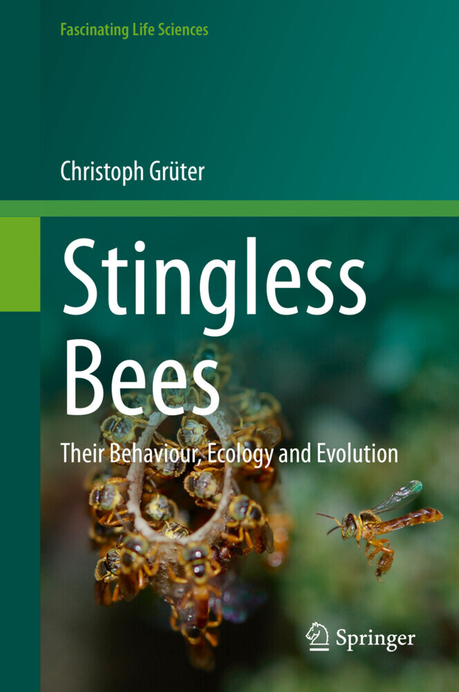 Stingless Bees main product photo