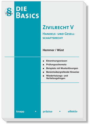 Basics Zivilrecht V