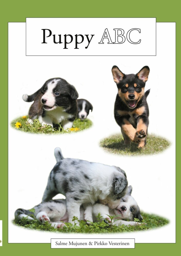 Puppy ABC main product photo