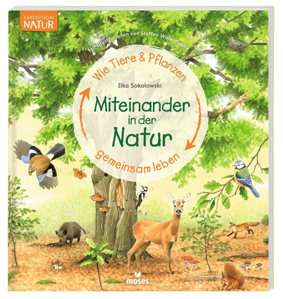Miteinander in der Natur main product photo