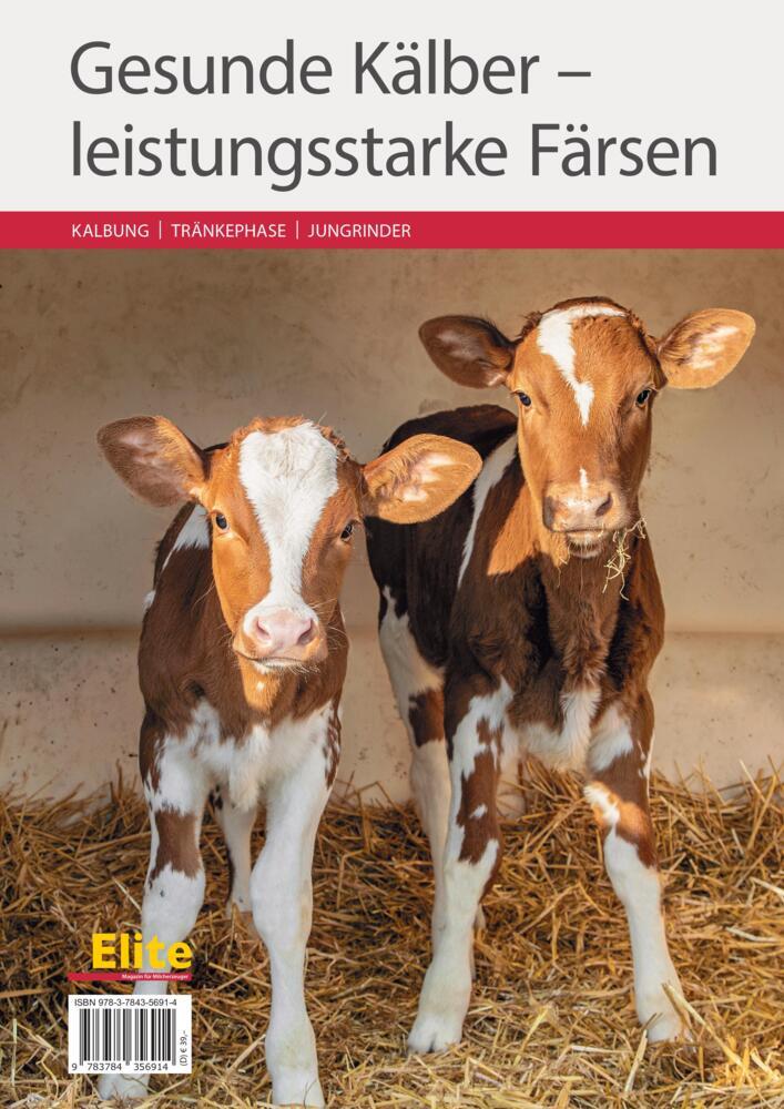 Gesunde Kälber - leistungsstarke Färsen main product photo