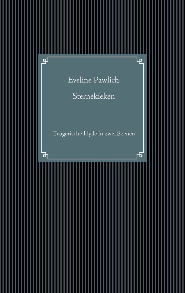 Sternekieken main product photo