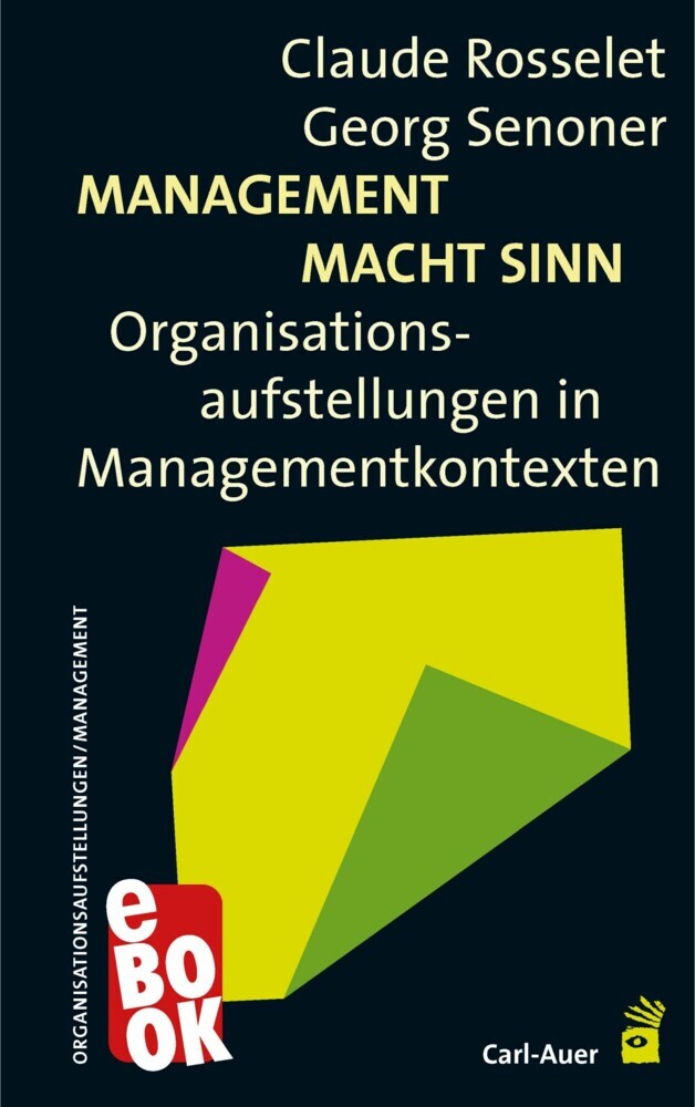 Management Macht Sinn main product photo