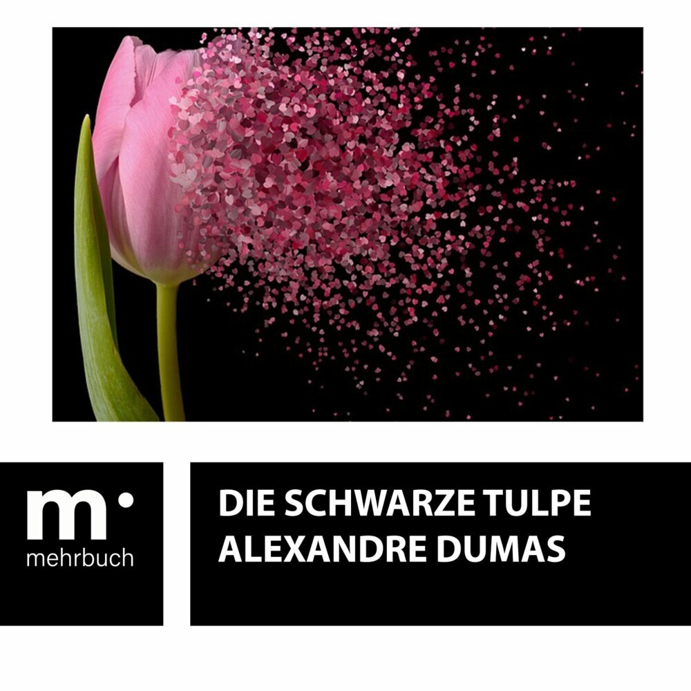 Die schwarze Tulpe main product photo