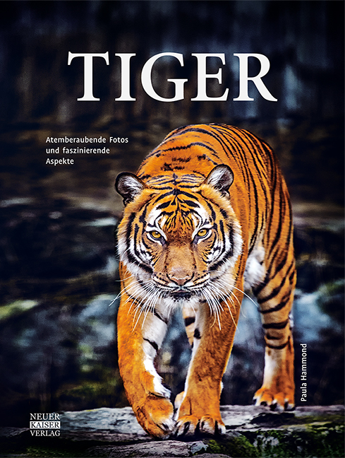 Tiger main product photo