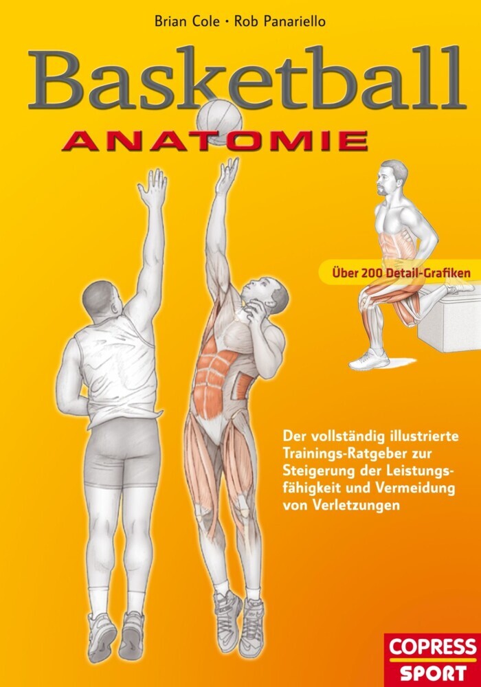 Basketball Anatomie main product photo