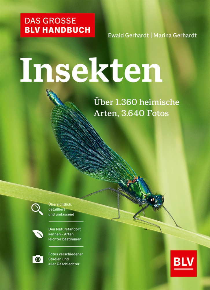 Das große BLV Handbuch Insekten main product photo