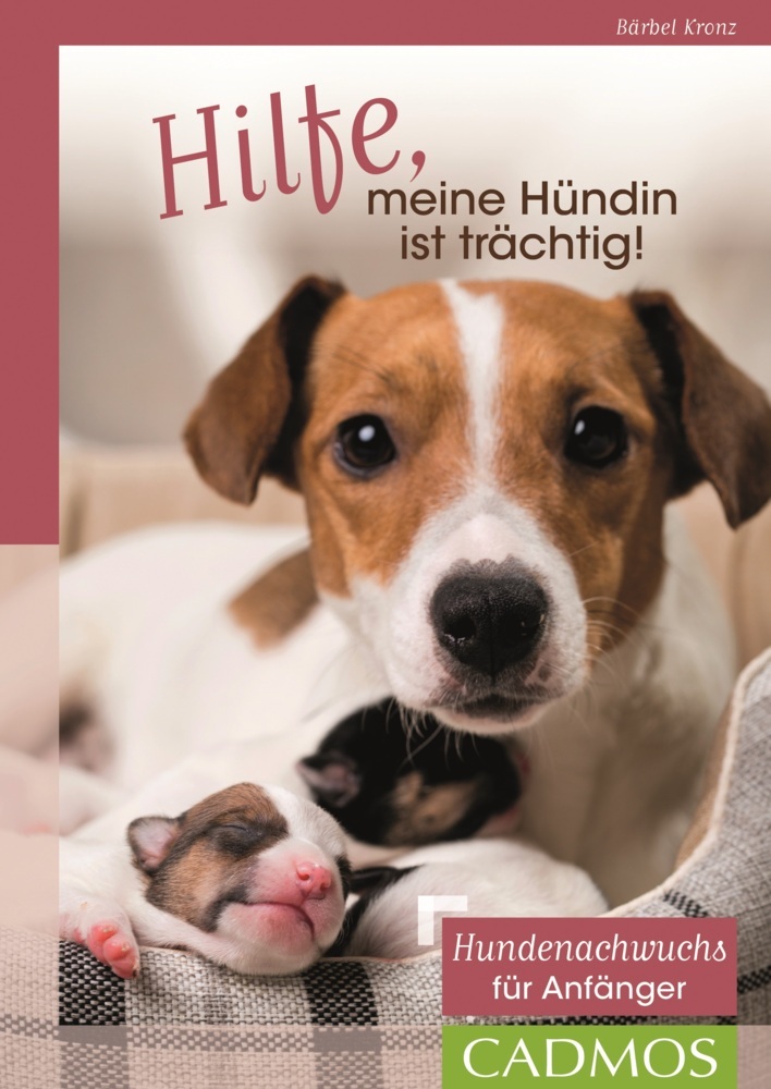 Hilfe, meine Hündin ist trächtig! main product photo