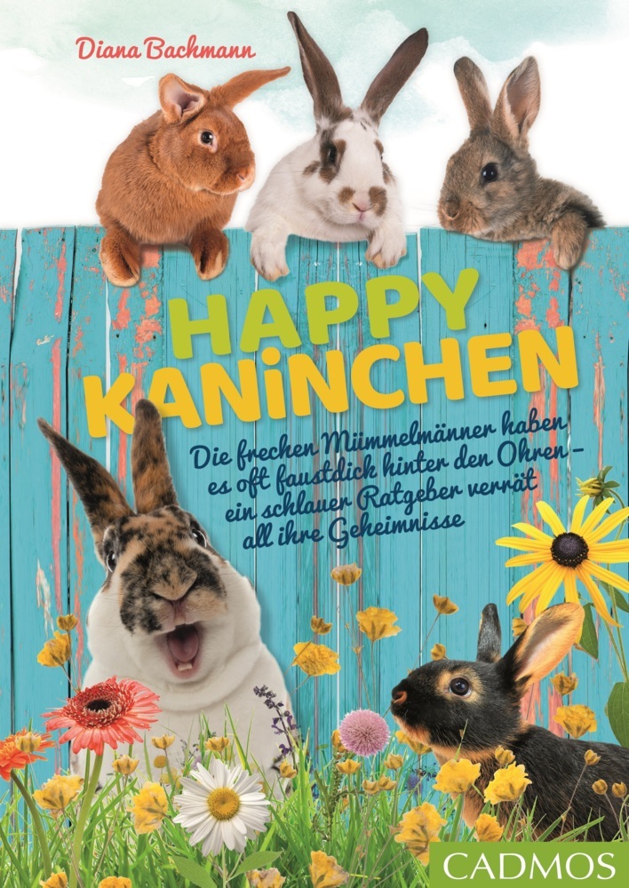 Happy Kaninchen main product photo