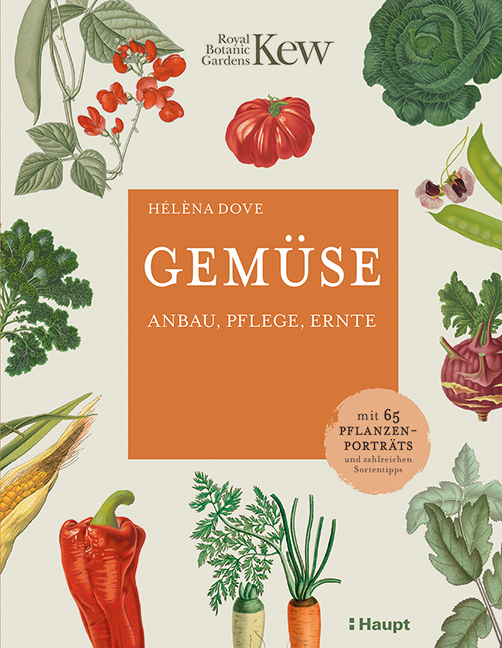 Gemüse main product photo