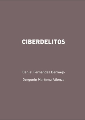 Ciberdelitos