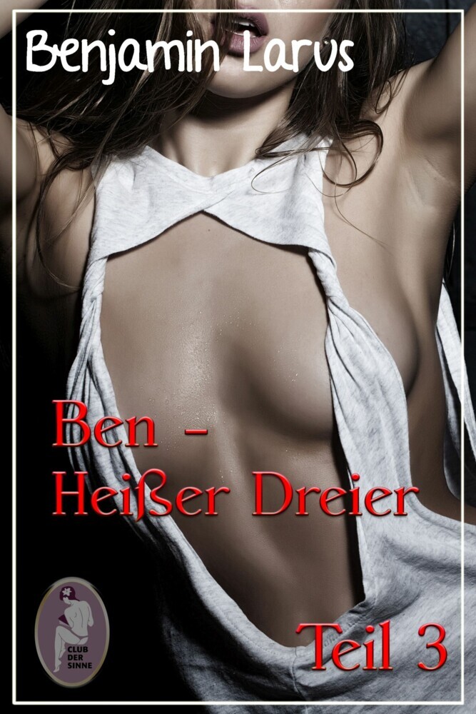 Ben - Heißer Dreier, Teil 3 (Erotik, Menage a trois, bi, gay) main product photo