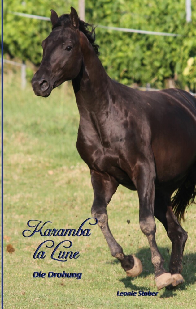 Karamba la Lune - Die Drohung main product photo