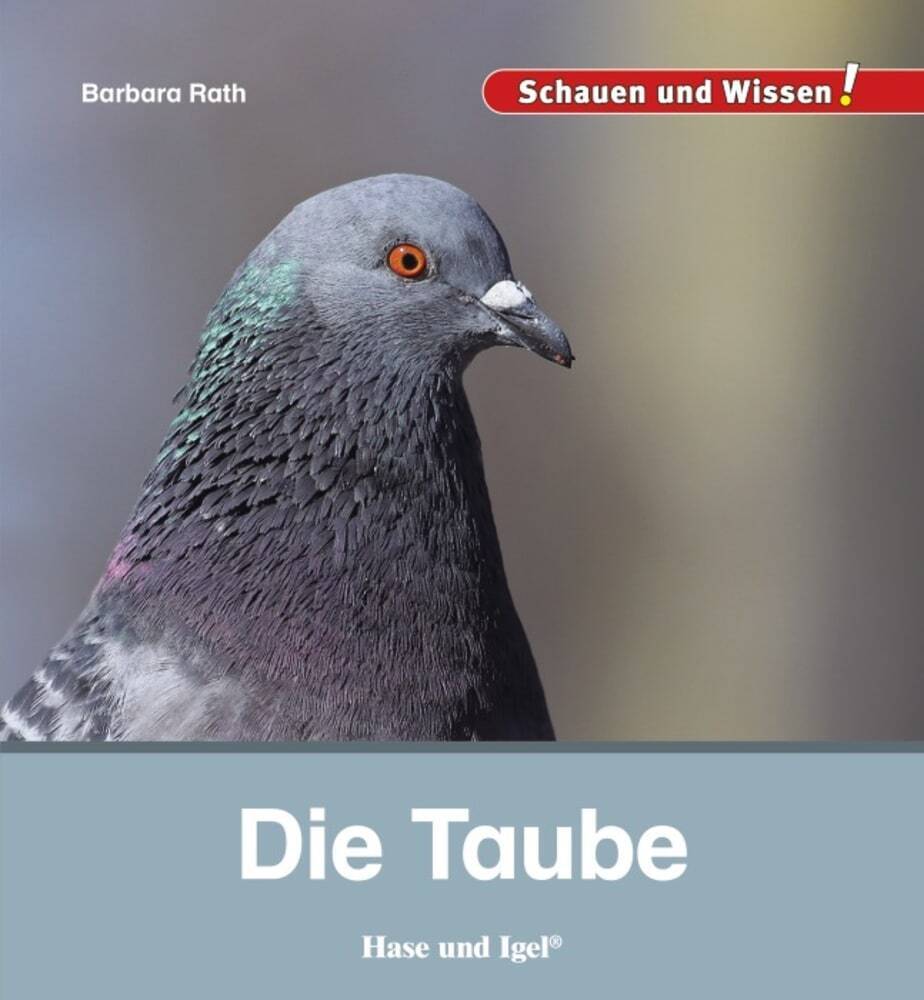Die Taube main product photo