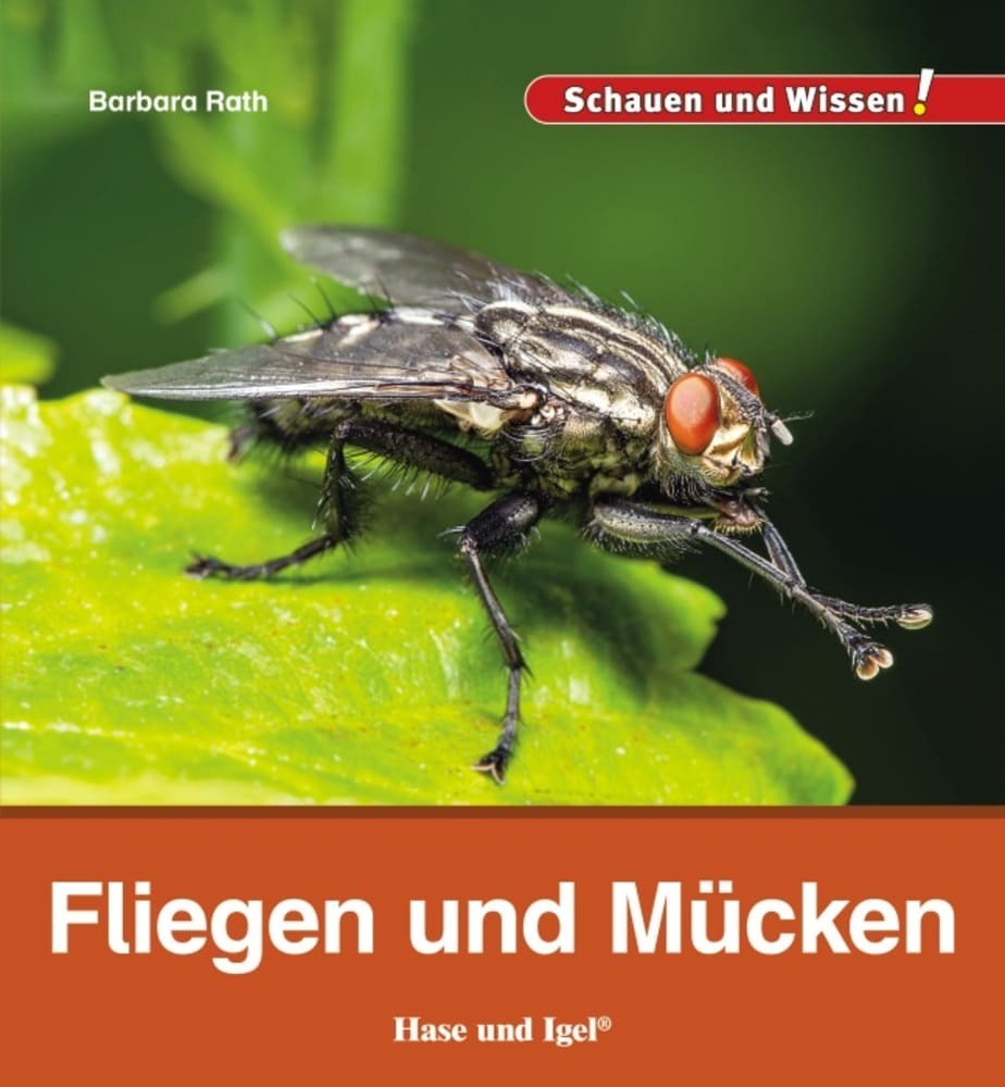Fliegen und Mücken main product photo
