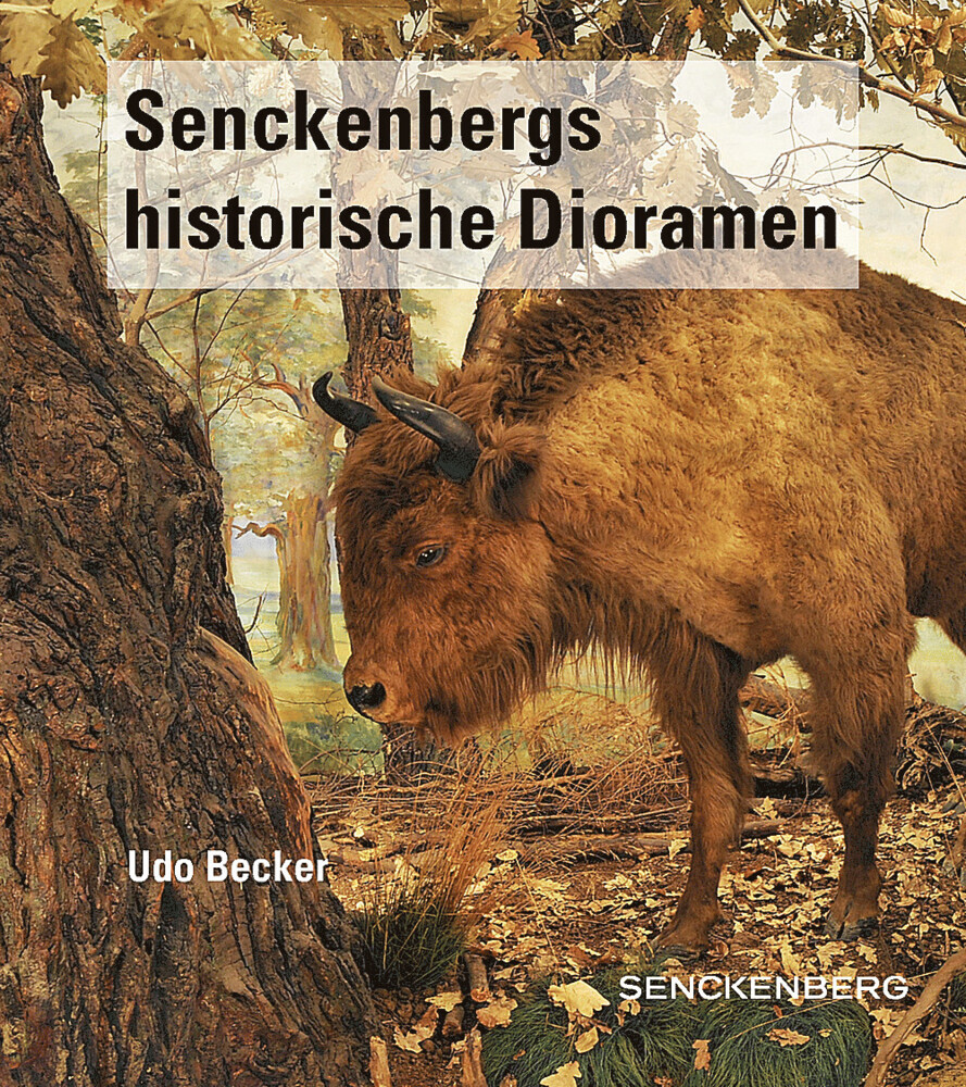 Senckenbergs historische Dioramen main product photo