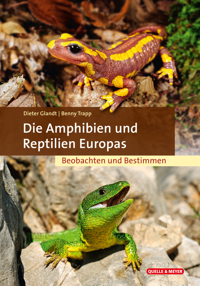Die Amphibien und Reptilien Europas main product photo