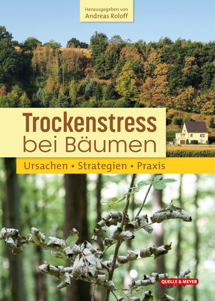 Trockenstress bei Bäumen main product photo