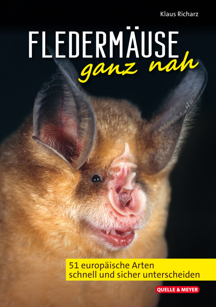 Fledermäuse ganz nah main product photo