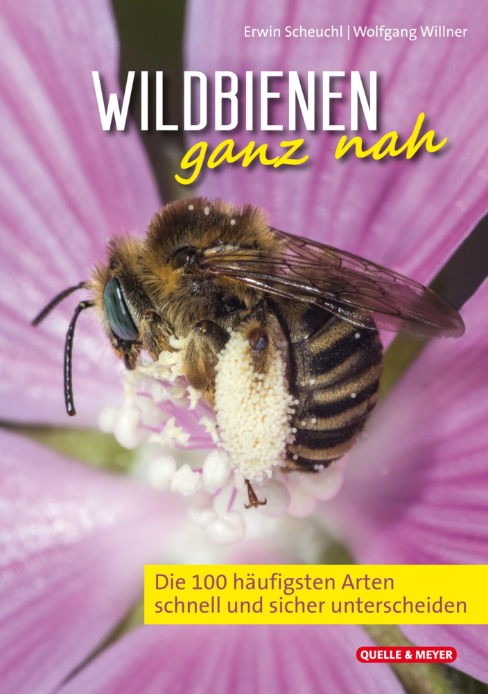 Wildbienen ganz nah main product photo