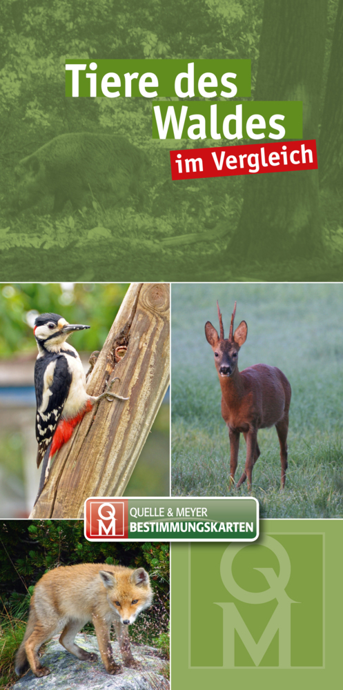 Tiere des Waldes main product photo