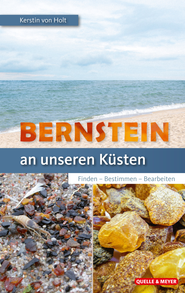 Bernstein an unseren Küsten main product photo